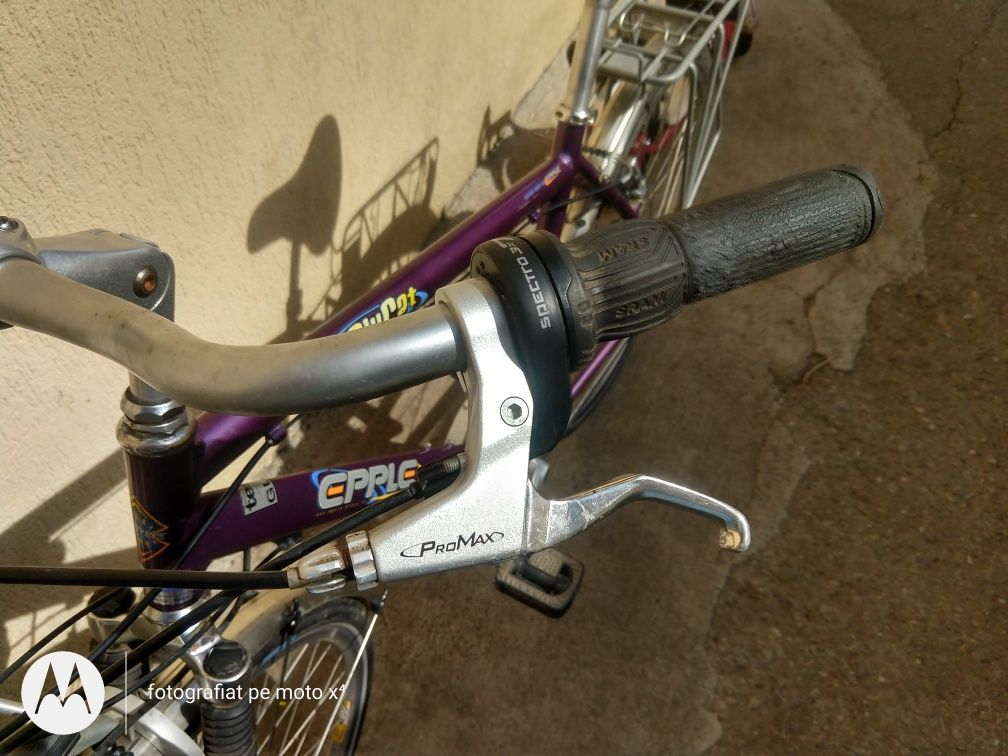 Bicicleta Epple roți pe 28