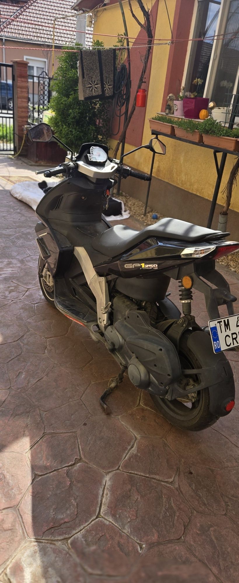 Vand Derbi GP1 250