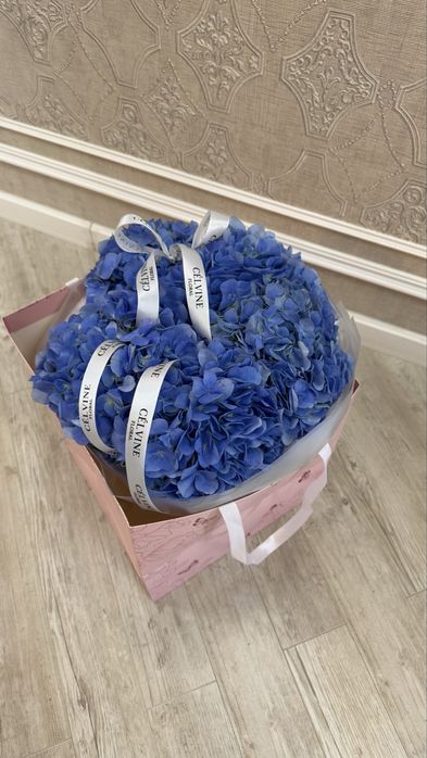 Продам цветы. Пришли только что