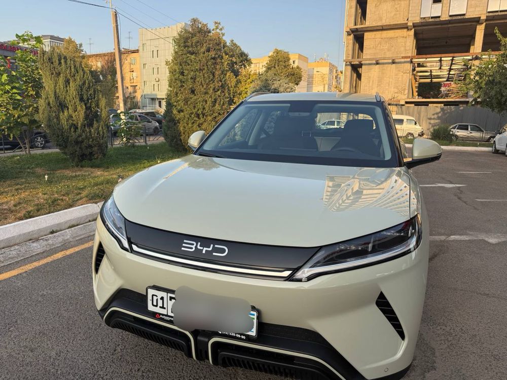 byd yuan up 2025