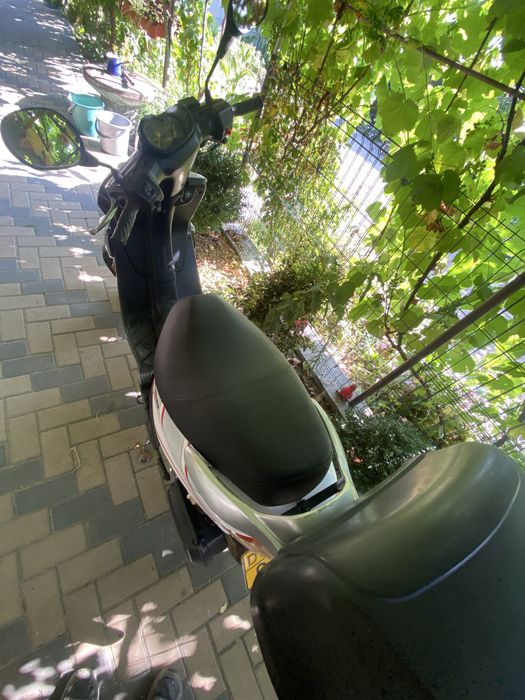 Scuter 49cm