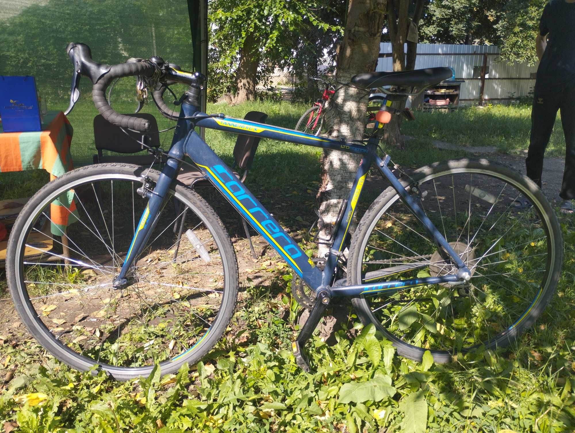 Cursiera Carrera