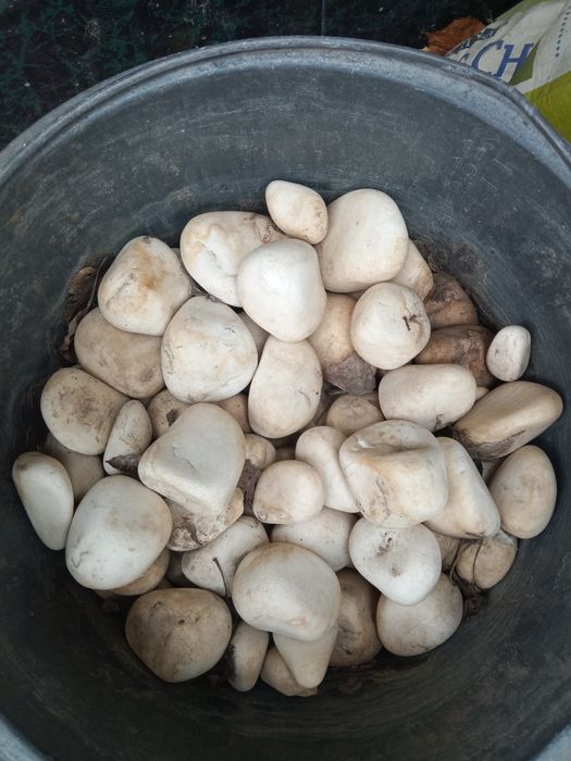 Камни для аквариума