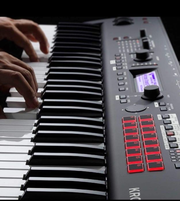 Lectii Meditatii Orga/Acordeon