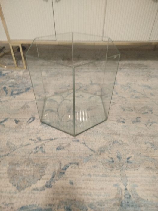 Аквариум обычный