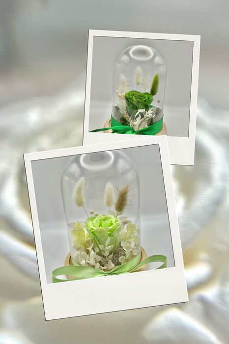 Trandafir criogenat in cupola