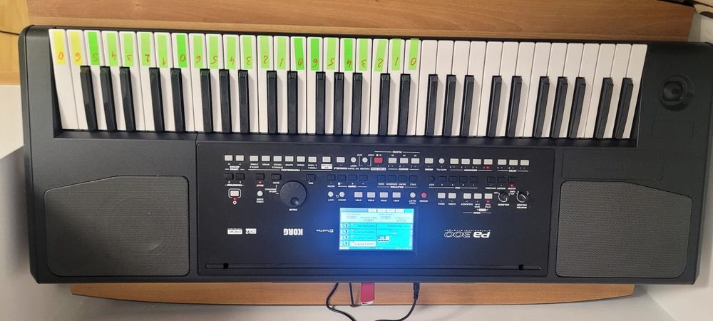 Orga,sintetizator Korg