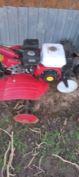 Vind motocultor Weima 500,170F 7cp