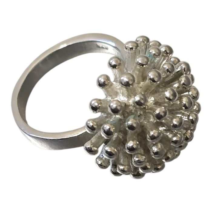 Inel argint deosebit