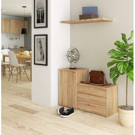 Dulap pentru încălțăminte cu comodă