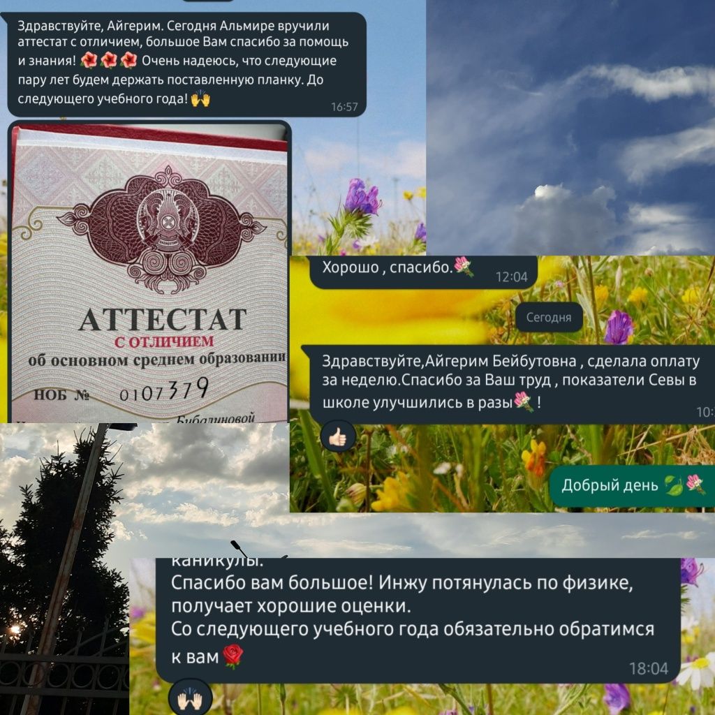 Репетитор Математики и Физики