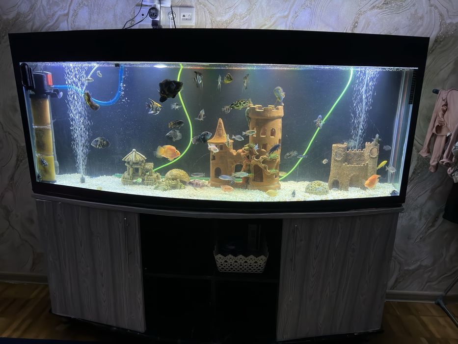 продается Аквариум 450лтр