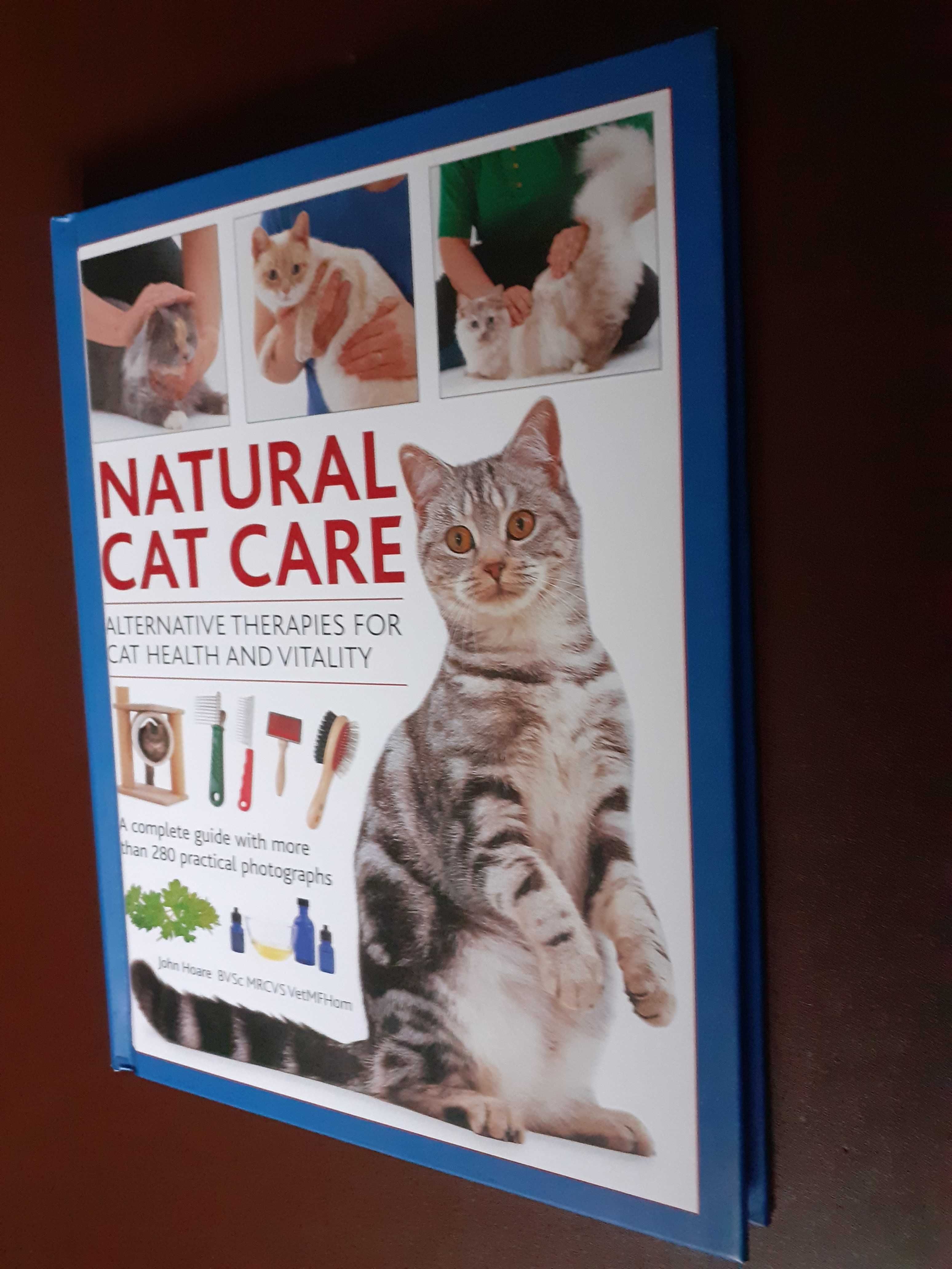 Natural cat care - alternative therapies for cat health and vitality