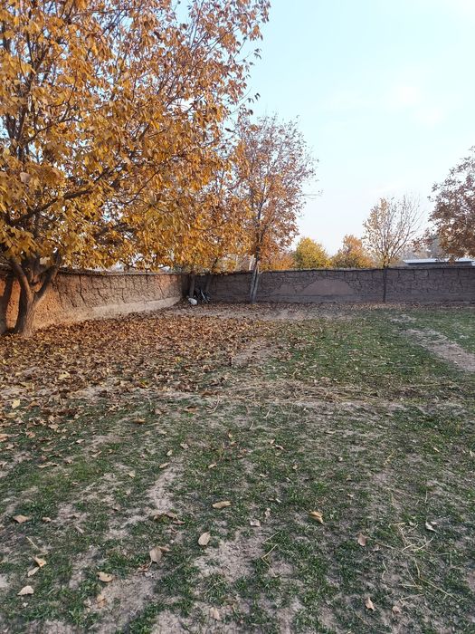 Shahrisabzdan Uchaska sotiladi