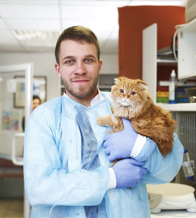 Ветеринарный врач на дом Вакцинация усыпление Эвтаназия выезд вызов