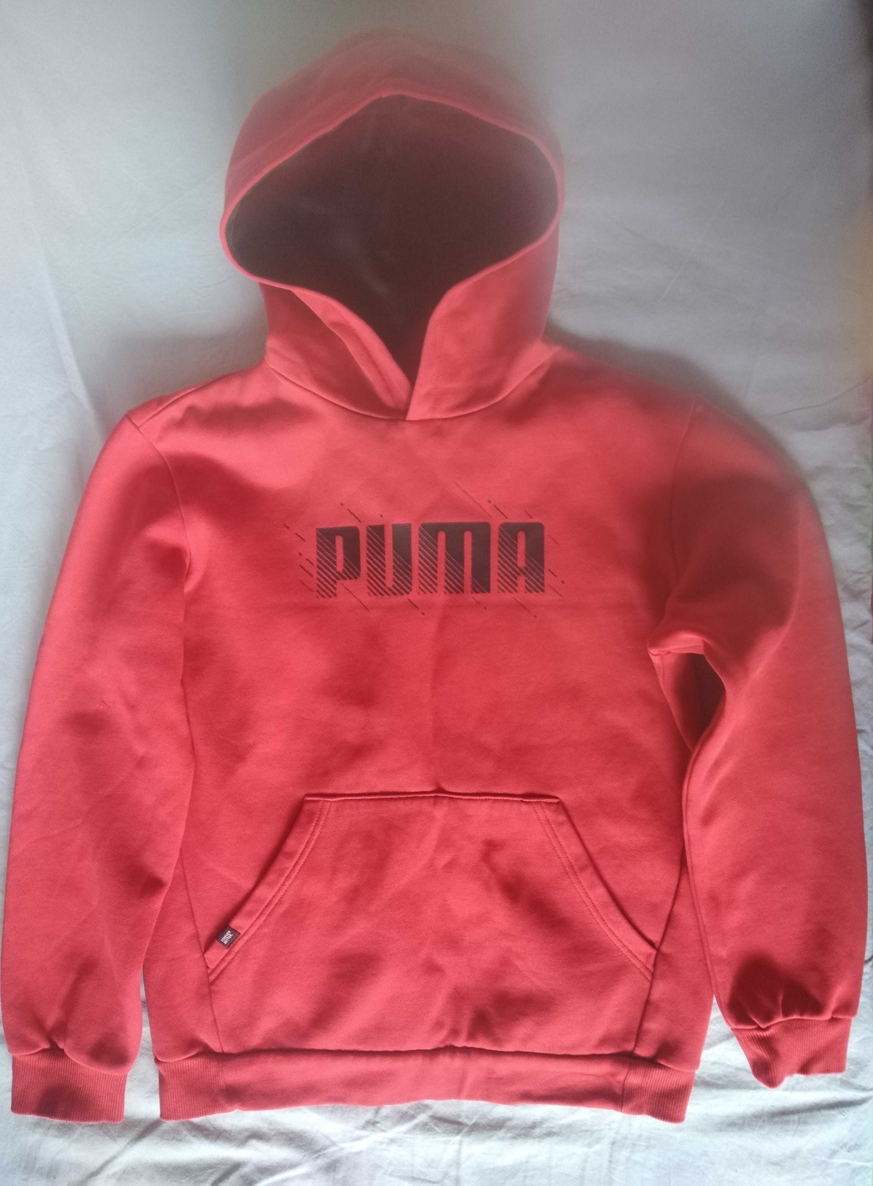 Тениски, шорти, суичери Puma, Minecraft, долнища 146/152, ватирано яке