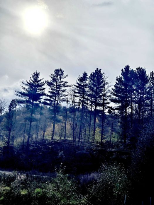 Casa din Luncă 2 – Poiana Mărului, Brașov nr. 676 D