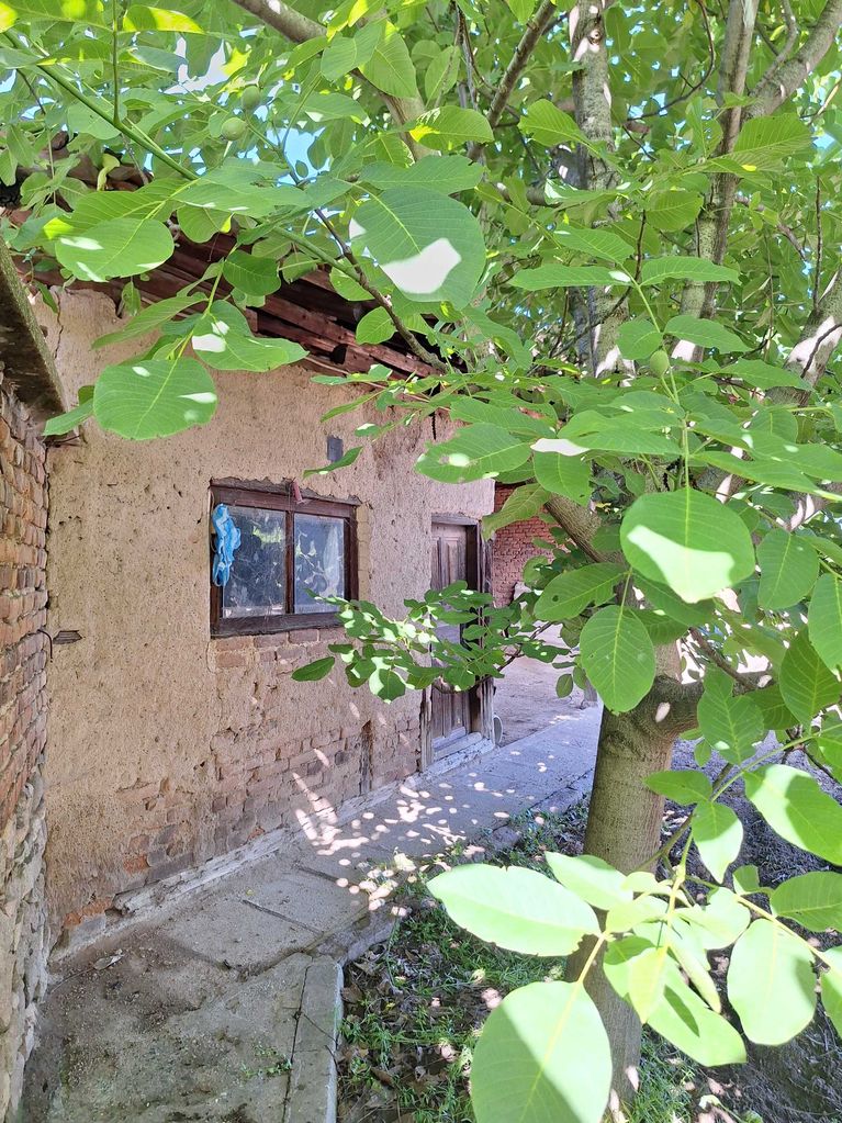Продава се Парцел в с. Бяга, Област Пазарджик - 700 кв.м за 55 €/кв.м - Снимка #8