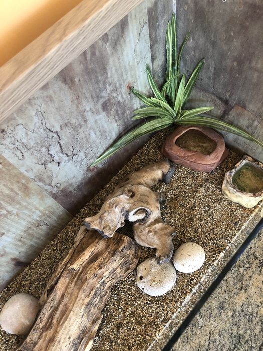 Терариум за гекон