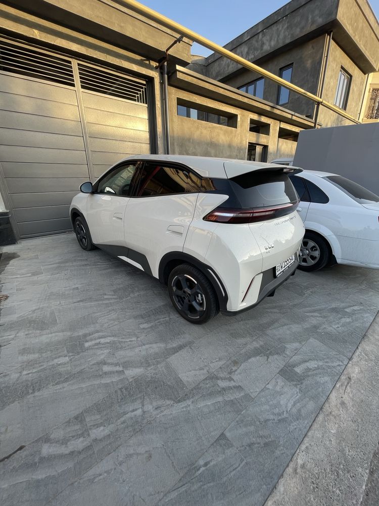 Byd seaugell 2024 yil. 405 km