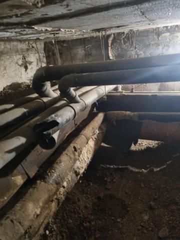 Ofer servici de deratizare în subsoluri de bloc pret 100 de lei negoci