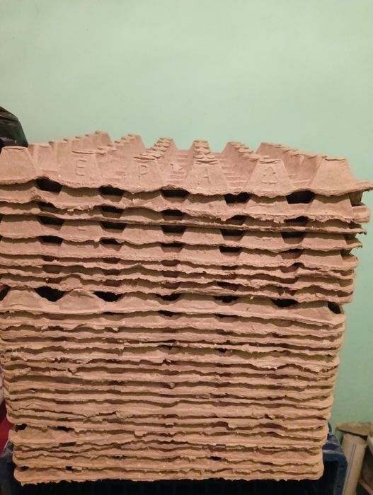 Продам лотки под яйц