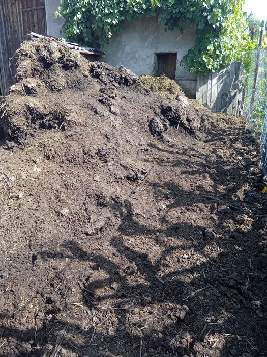 Vind bălegar de vaca pudred