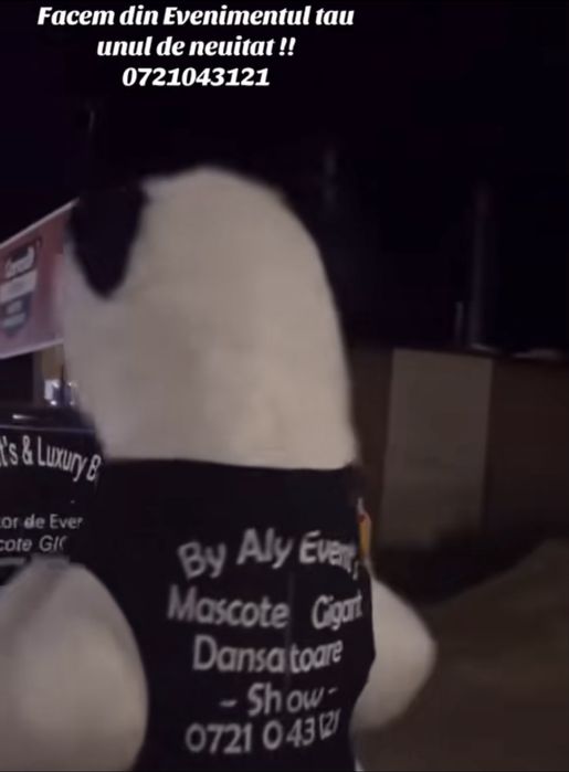 Bebelușii Gigant pentru Evenimente