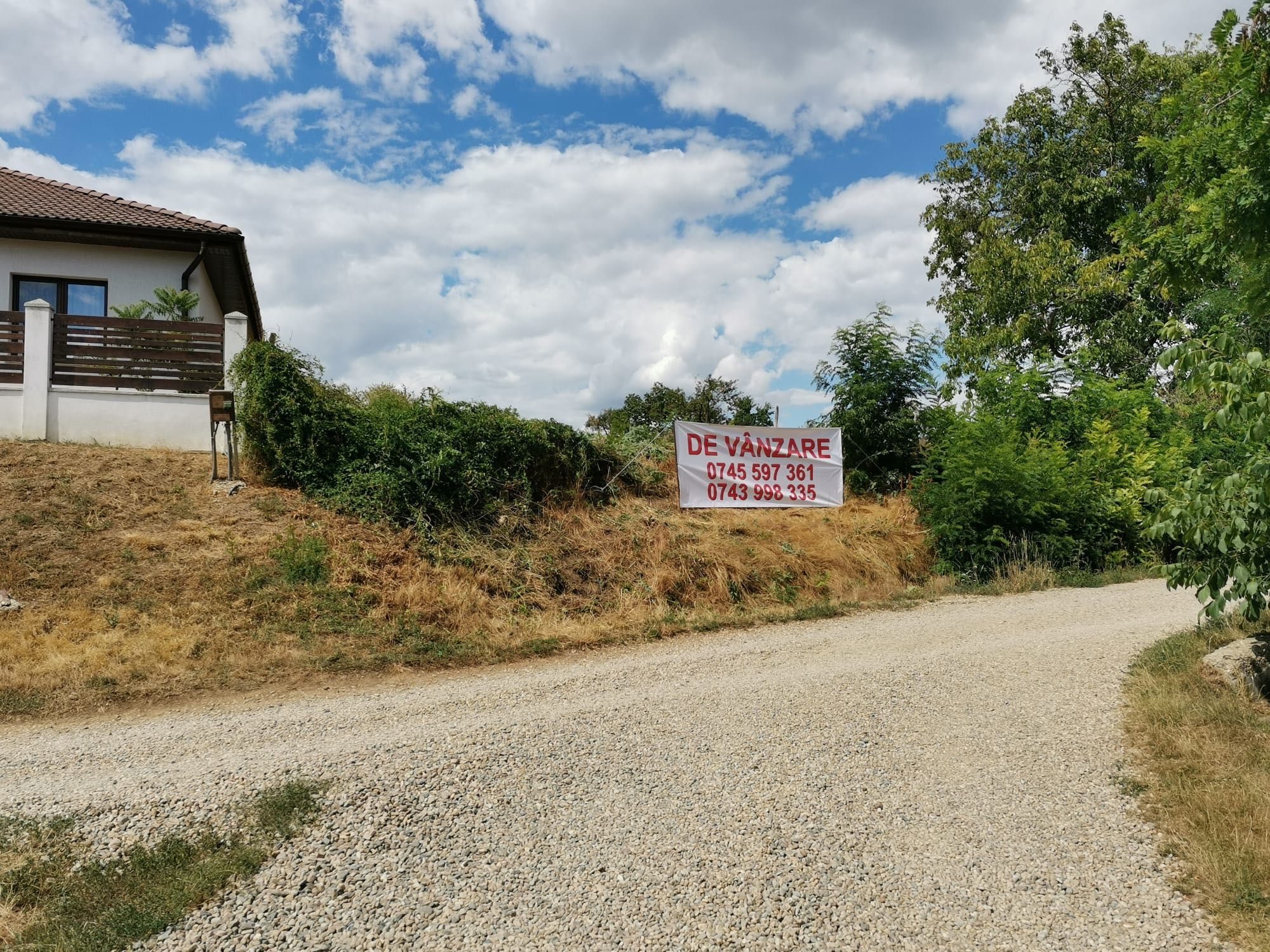 Teren intravilan cu front stradal de 25 ml Cetariu Bihor 7 km Oradea