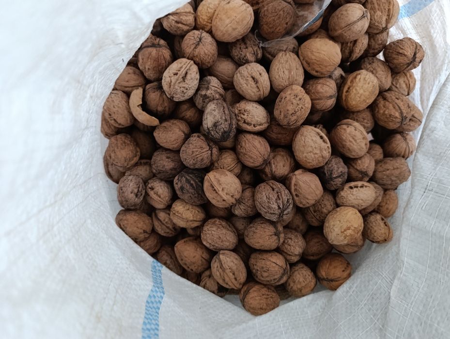 Vând nuci  Galați