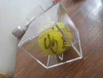 Cutie de expunere / display box pentru mingi de tenis