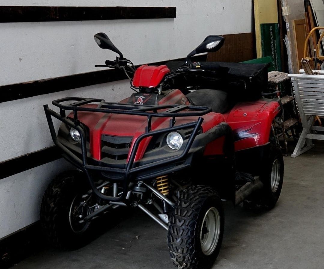 Piese dinli masai 450