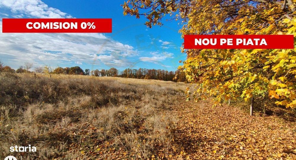 Terenuri intrevilane Comuna Mosoaia