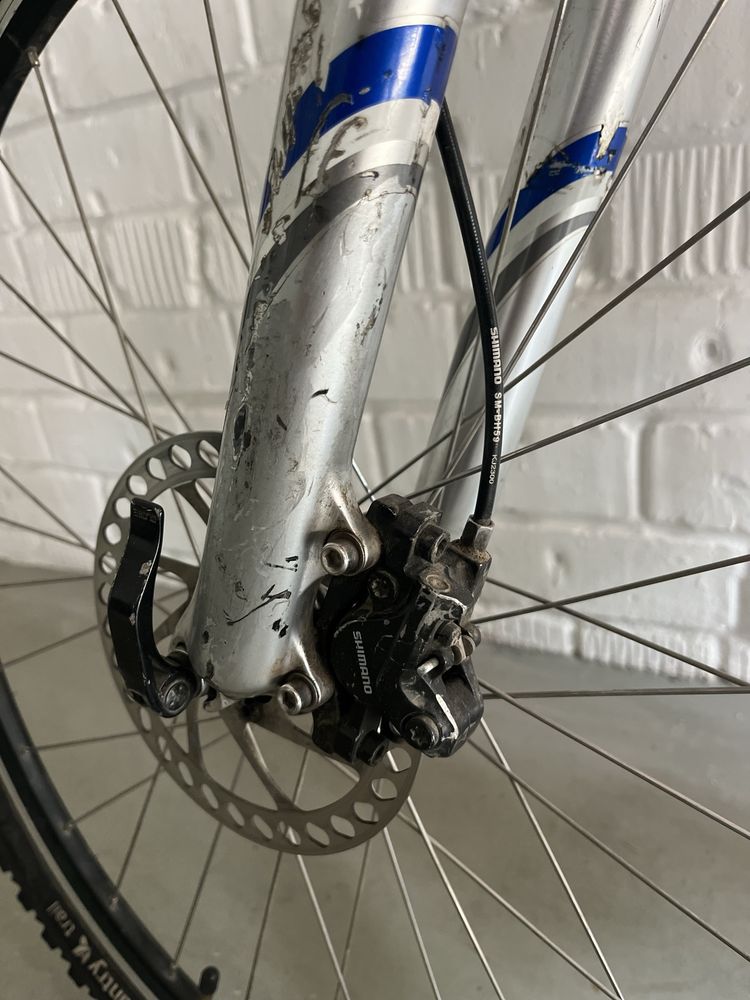 Продам Giant iguana disk