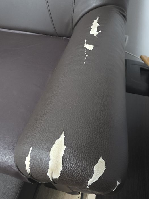 Canapele piele ecologică