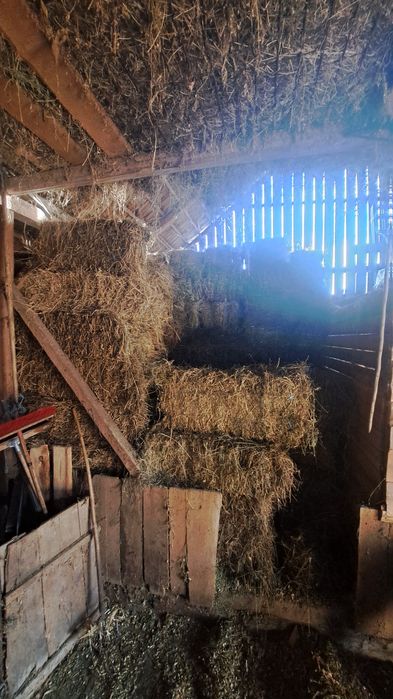 Baloti de lucerna si trifoi