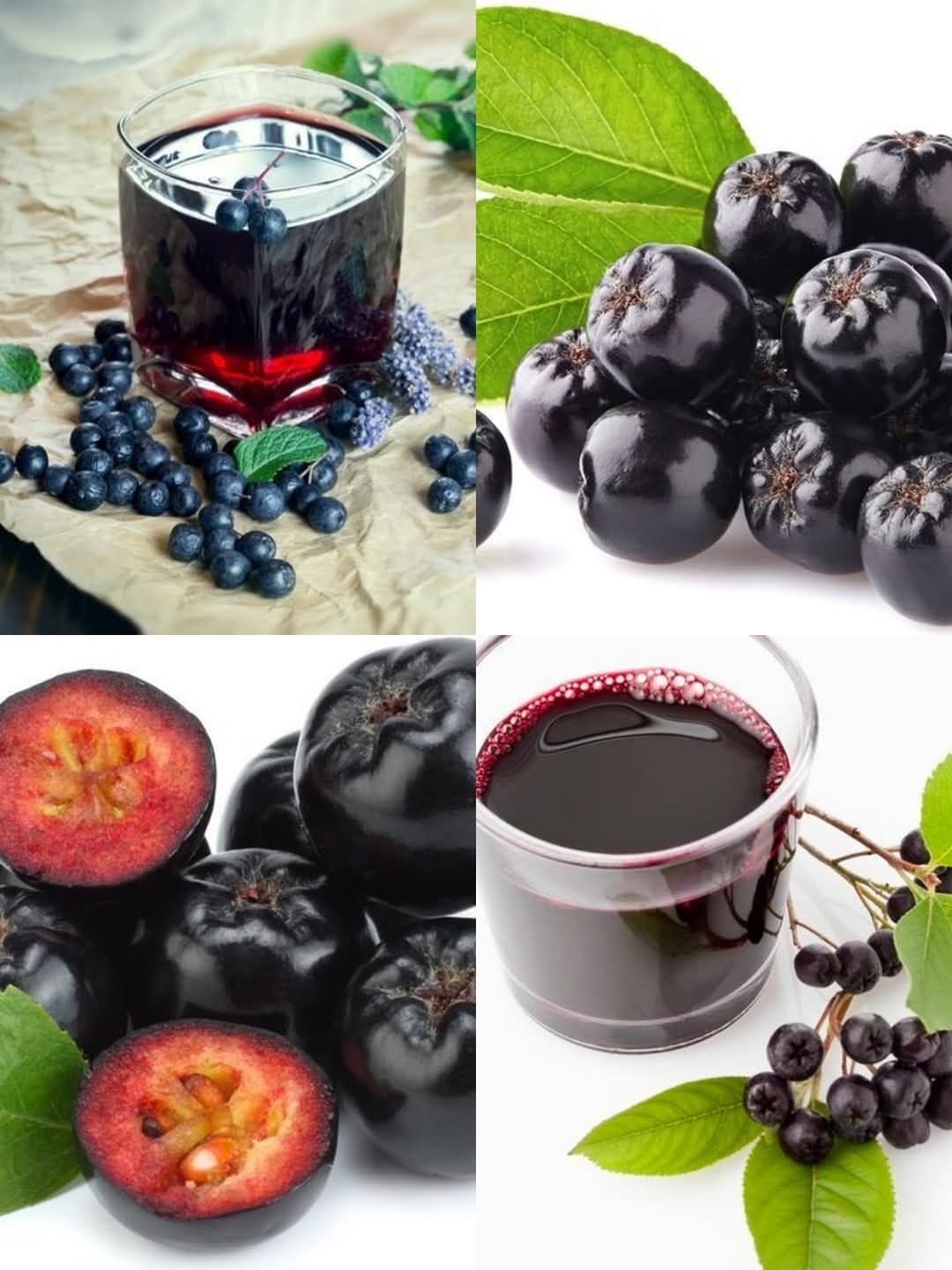 Suc de Aronia 3L/10L