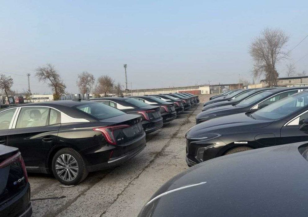 Eqm5 honji 2025 hongqi