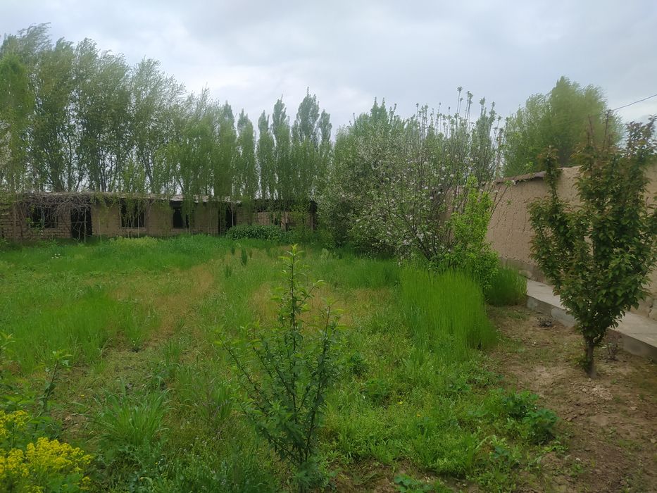 Nazarbek mevazor yer 3 sotik