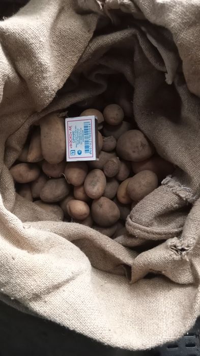Продам мелкий картофель