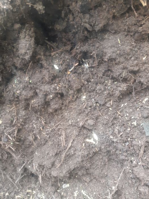 Перегнои Чернозём