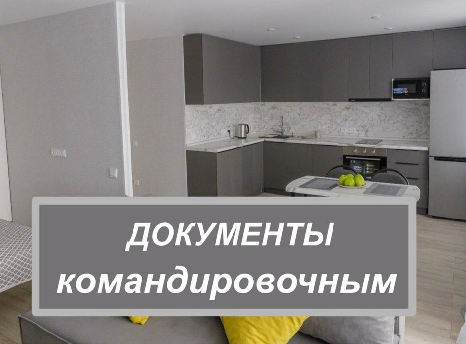 Квартира посуточно/почасово в центре города, документы командировочным