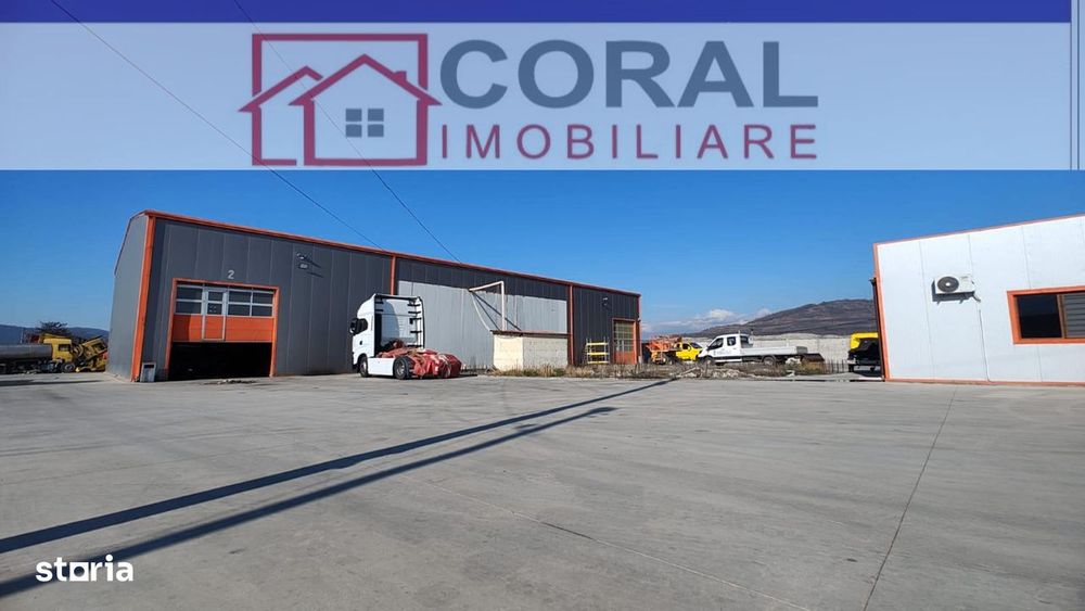 Hale industriale și spații de birouri de închiriat,  Vețel