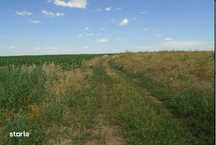 Teren Manasia, cota parte 1/4, ID: R2609583
