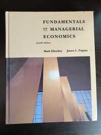 Fundamentals of Managerial Economics, 4th Edition