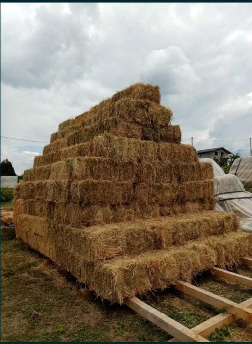 Baloti lucerna si trifoi