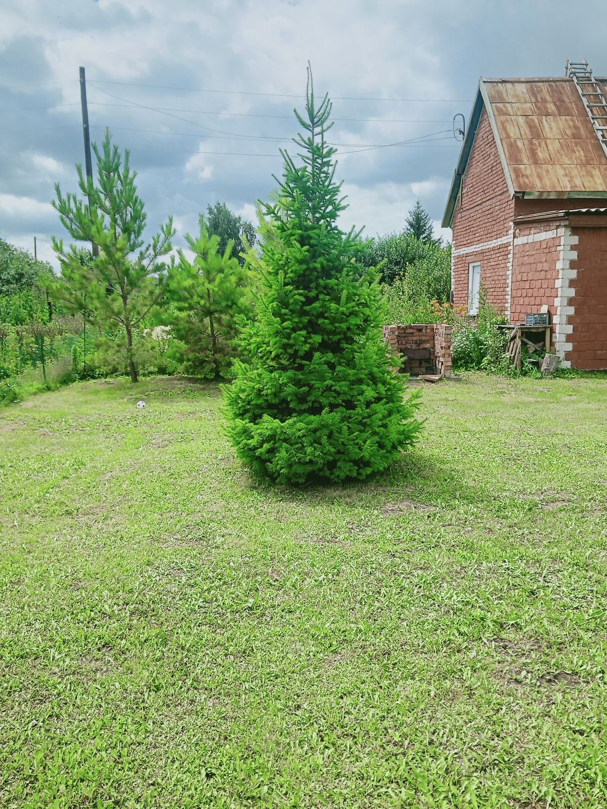 Срочно продам ухоженную дачу