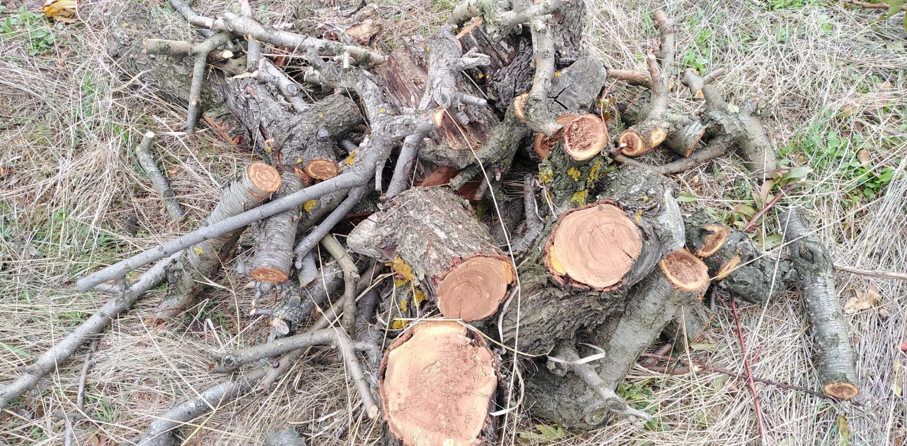 Дърва за огрев калорични