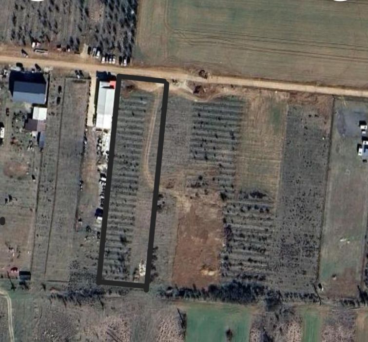 Teren spate top gel Carcea