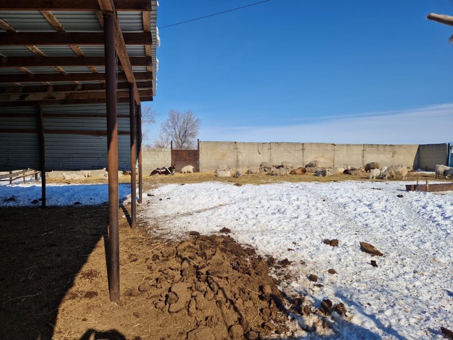 Продается фазенда